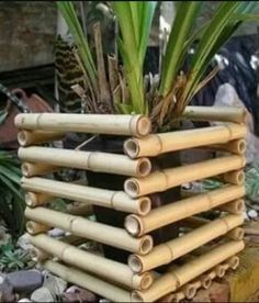 a stack of bamboo sticks sitting on top of a pile of rocks next to a potted plant