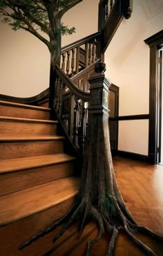 a tree that is growing out of the ground in front of a stair case on a wooden floor