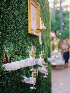 a person holding wine glasses in front of a wall covered with green plants and greenery