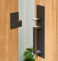 a door handle on a wooden door with a plant in the background