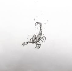 a black and white drawing of a scorpion