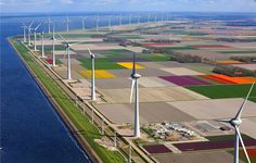 an aerial view of several windmills in a field near the ocean with colorful flowers