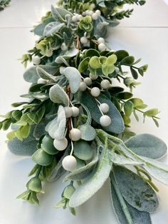 a bunch of green and white plants on a table