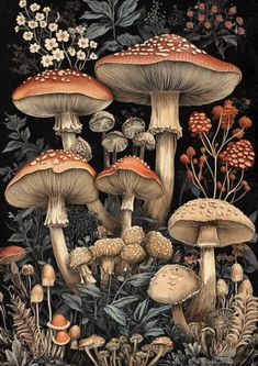 some very pretty mushrooms in the grass with flowers and plants around them on a black background