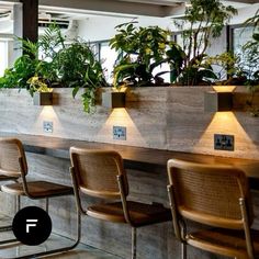 a row of chairs sitting next to each other in front of a wall with plants on it