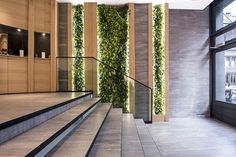 an indoor stair case with plants growing on it