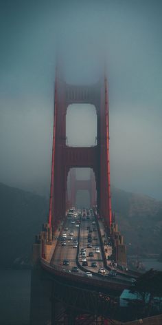 the golden gate bridge is surrounded by fog