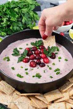 a hand dipping a cracker into a bowl of dip surrounded by cranberries and cilantro