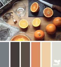 an assortment of oranges and other fruits on a table