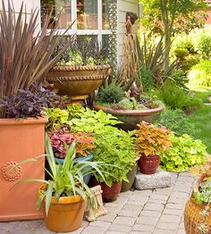 many potted plants in front of a house