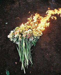 a bunch of flowers sitting on top of a dirt ground with fire coming out of it