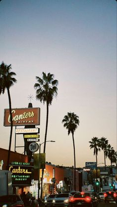 cars are driving down the street in front of stores and palm trees at dusk,