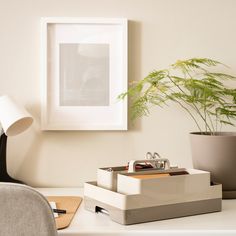 an office desk with a plant, pen and glasses on it next to a framed photograph