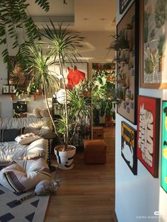 a living room filled with lots of plants next to a wall mounted on it's side