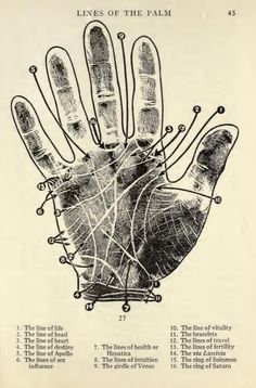 Palm Reading Charts, Palmistry Reading, Palm Prints, Palmistry Hand, Reading Charts, Art Appliqué, Palm Reading, Spells Witchcraft, Tarot Readers