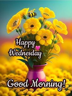 a vase filled with yellow flowers sitting on top of a sunflower covered field next to the words happy wednesday good morning