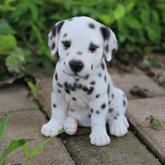 a white and black puppy sitting on top of a brick floor next to green plants