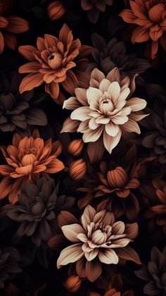 a bunch of flowers that are on a black background with orange and brown leaves in the middle