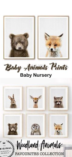 baby animals nursery prints by woodland animals collection