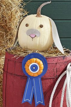 a pumpkin sitting on top of a barrel with a ribbon around it's neck