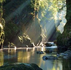 the sun shines brightly through the trees and rocks in this riverbed area with water flowing between them