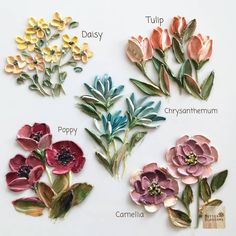 four different types of flowers on a white surface