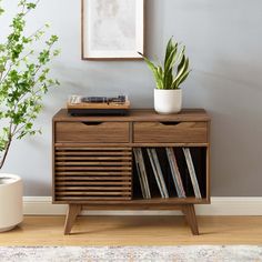 a record player is sitting on top of a wooden cabinet next to a potted plant