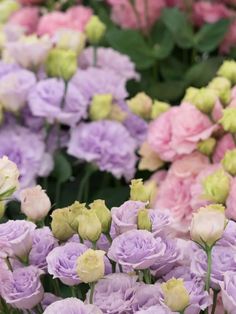 many different colored flowers in a garden