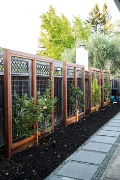 a row of wooden fenced in plants next to a walkway with black rocks and gravel