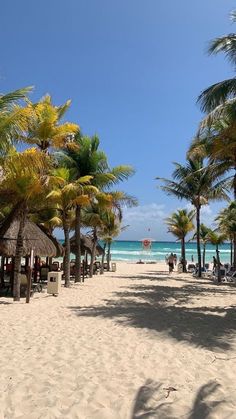 the beach is lined with palm trees and umbrellas