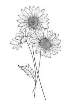 three sunflowers are shown in black and white