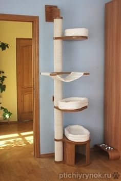 a cat tree in the corner of a room with blue walls and wood flooring