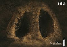 Braun: Snake, Bear, Spider • Ads of the World™ | Part of The Clio Network