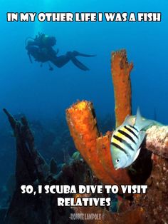 a scuba diver is swimming in the ocean with a fish on it's back