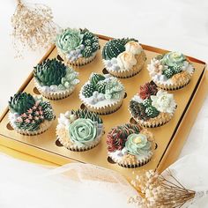 cupcakes decorated with flowers and succulents on a tray