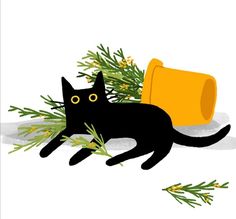 a black cat laying on the ground next to an orange cup and some green plants