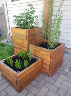 three wooden planters with plants growing in them