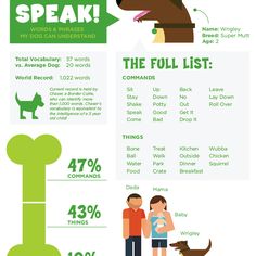 an info sheet with dogs and people on the page, which includes information about how to speak