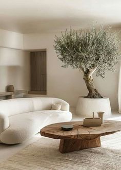 a living room with white furniture and a tree in the centerpiece on the coffee table