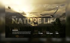 the nature life website is displayed with an image of a deer and birds in the background