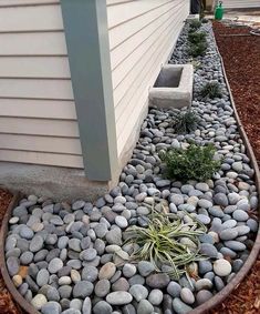 some rocks and plants in front of a house with a white siding on the side