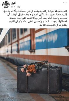 an old suitcase sitting on the ground next to a train track with flowers growing out of it