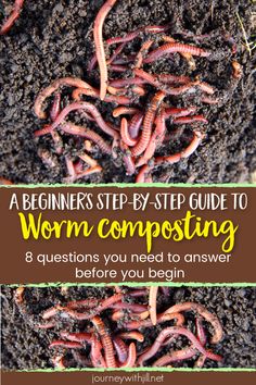 worms crawling on the ground with text overlay that reads, a beginner's step by step guide to worm composting 8 questions you need to answer before you begin