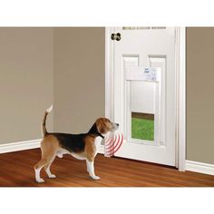 a dog standing in front of a door with a red frisbee on it's side