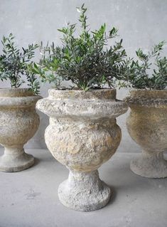 three cement urns with plants in them