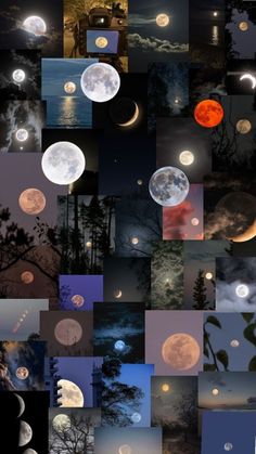 a collage of different moon images with trees in the background