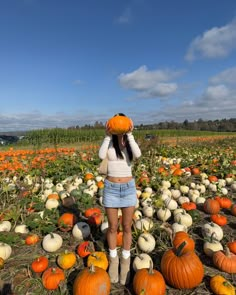 a woman standing in a field full of pumpkins