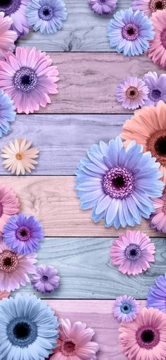 colorful flowers are arranged on a wooden background