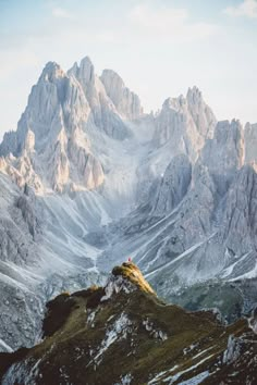 the mountains are covered in snow and green grass, as well as yellow flowers on them