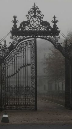 an ornate iron gate in the middle of a park on a foggy, overcast day